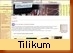 Qui est Tilikum ?